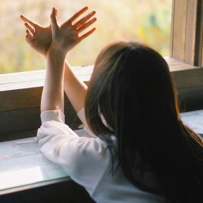 胖胖贵妃也倾城